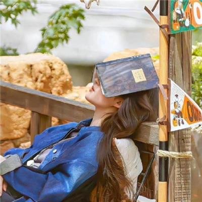 头版:纽约时报的一年